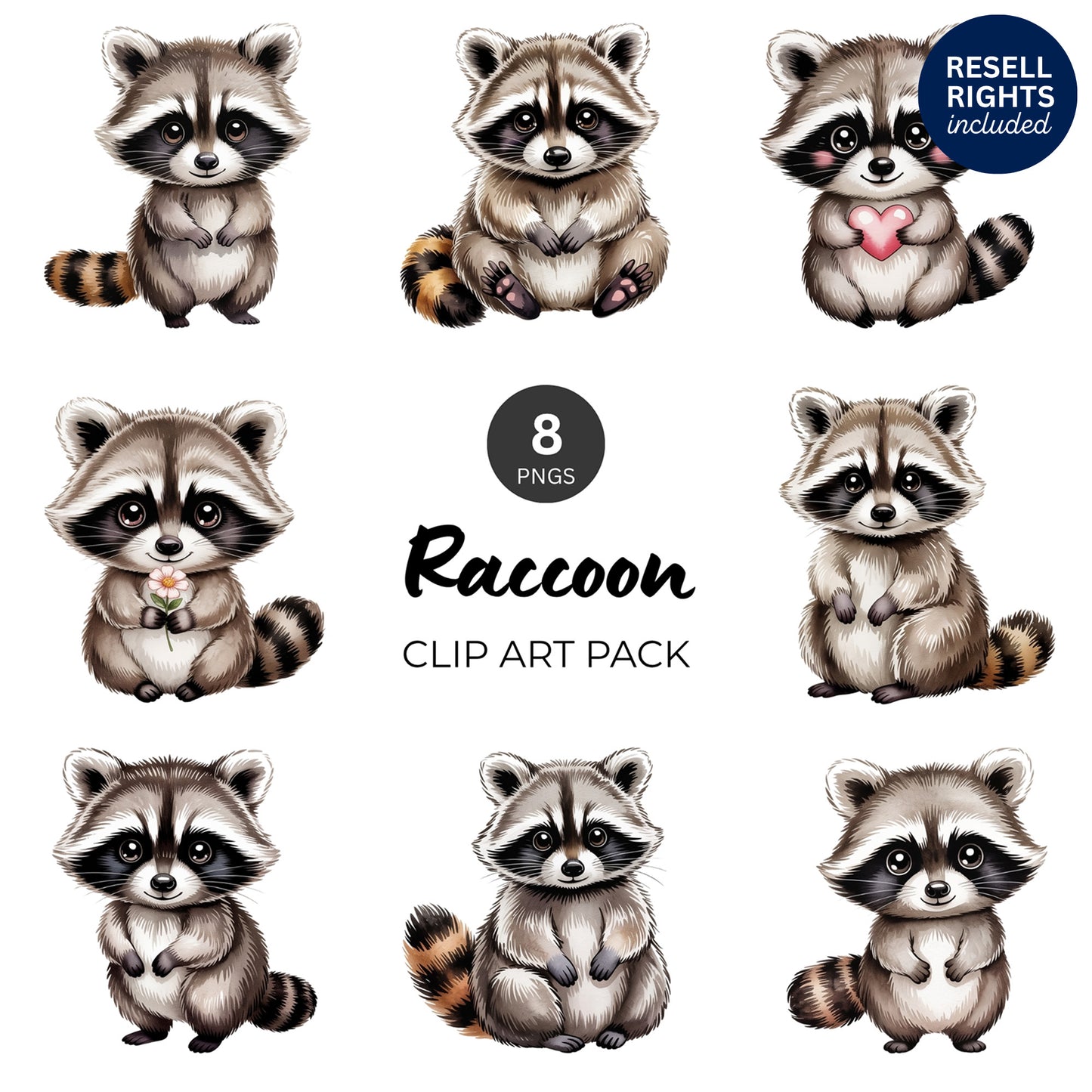 Raccoon Clipart Pack | Resell Rights Included
