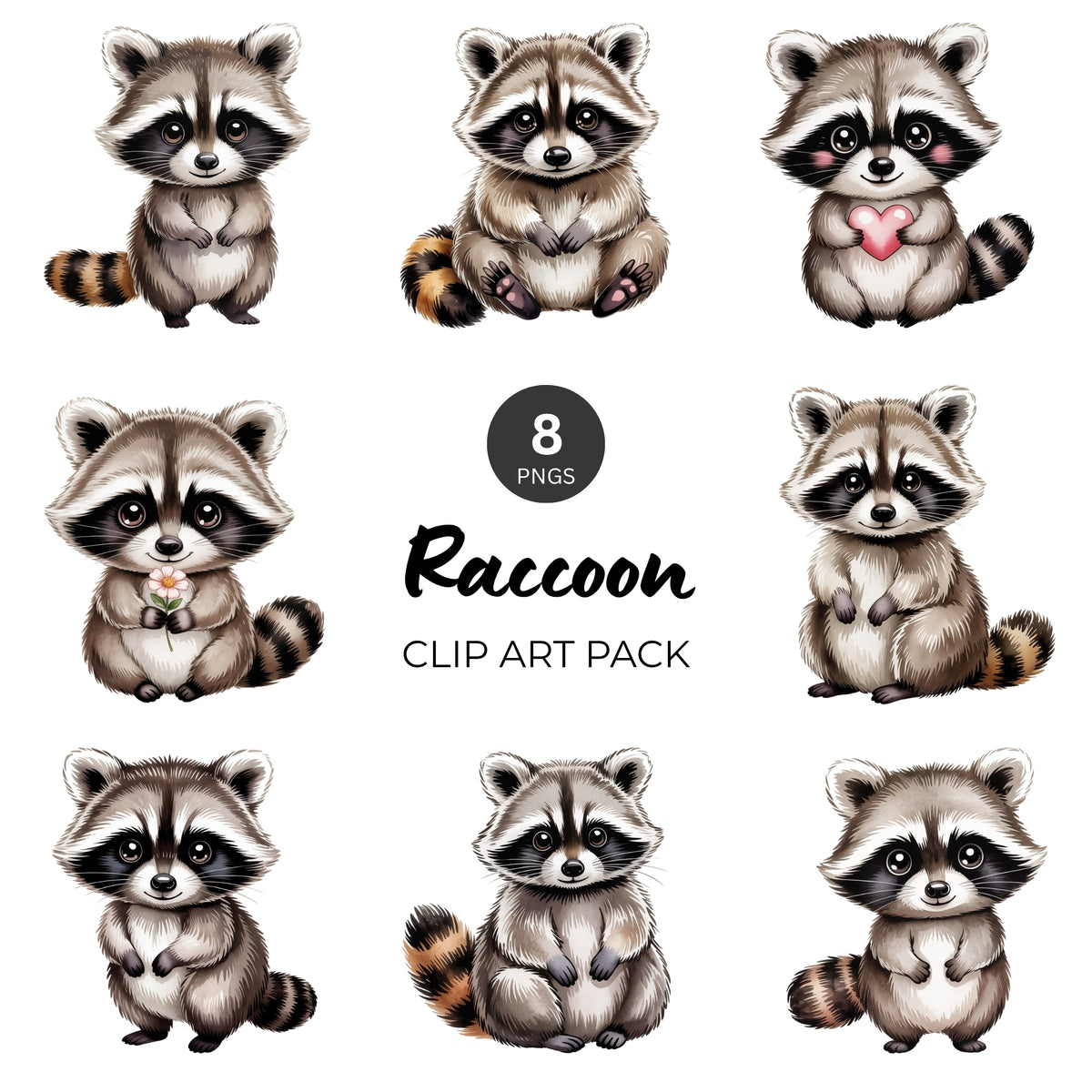 Raccoon Clipart Pack