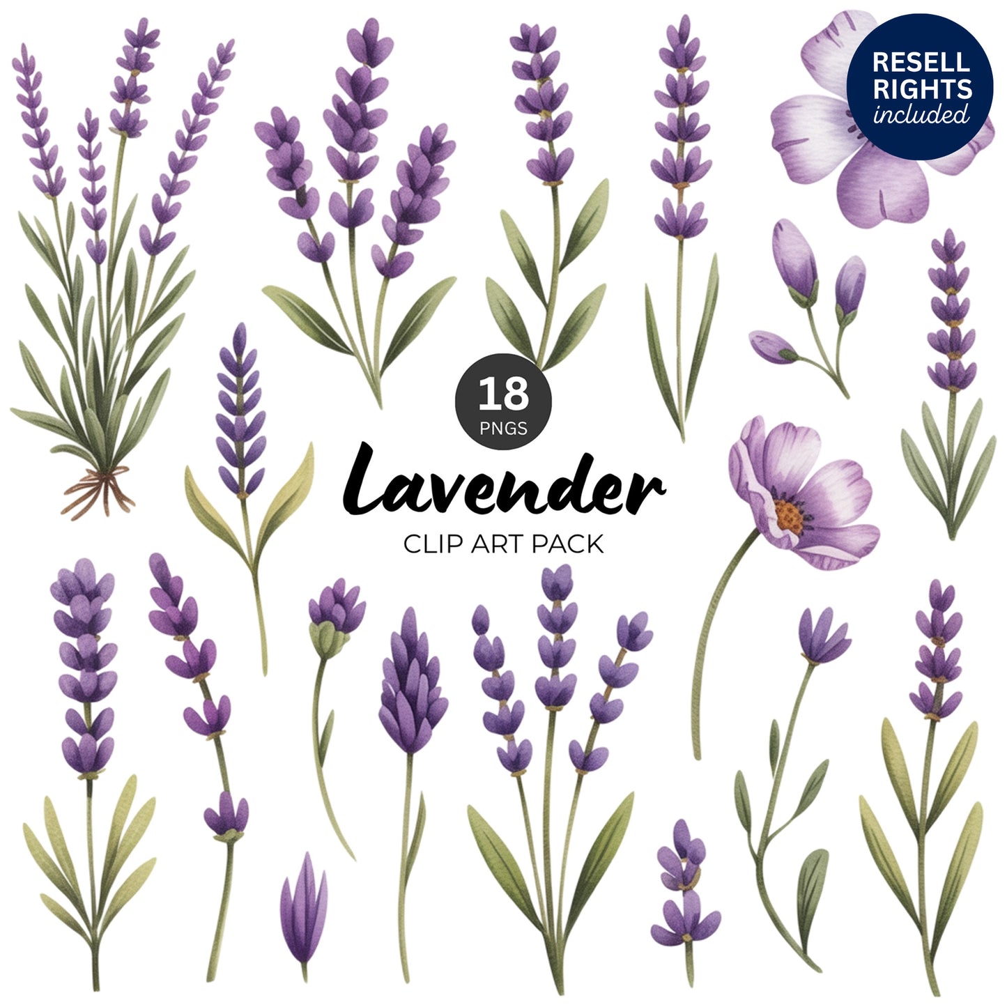Lavender Clipart Pack | Resell Rights Included
