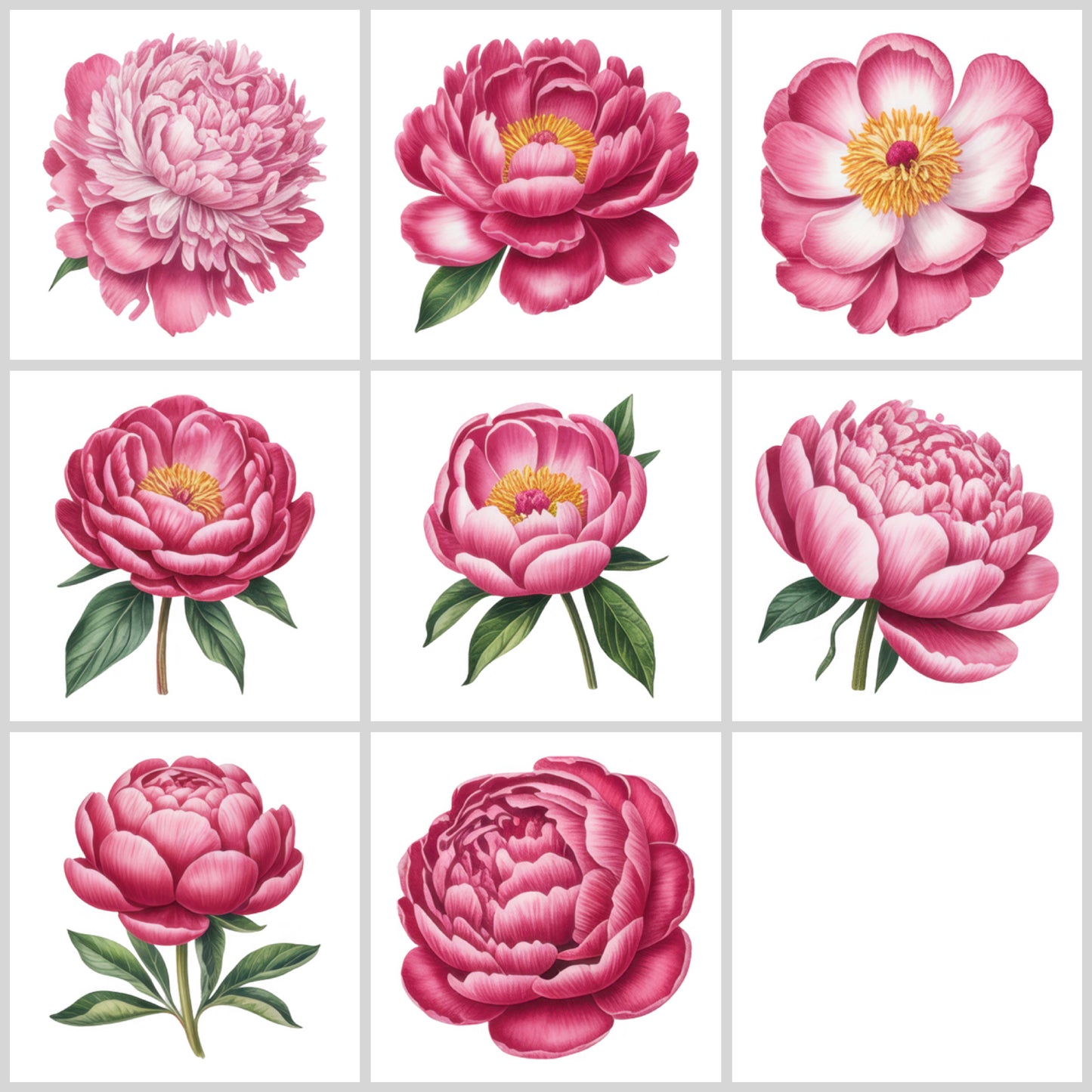 Pink Peony Clipart Pack | Resell Rights Included