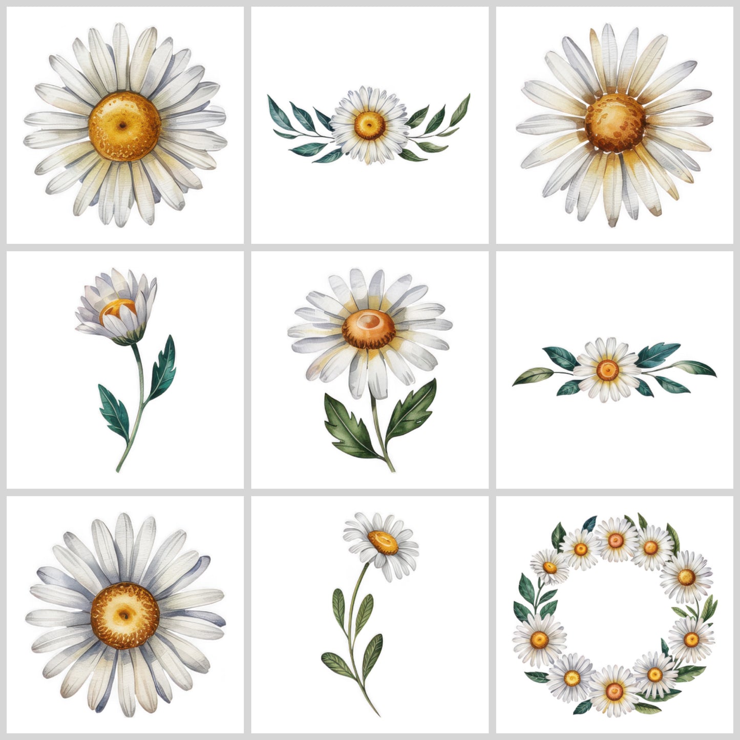 Daisy Clipart Pack | Resell Rights Included
