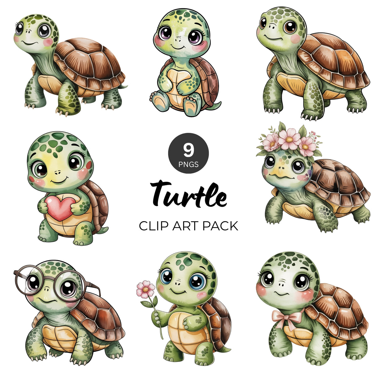 Turtle Clipart Pack
