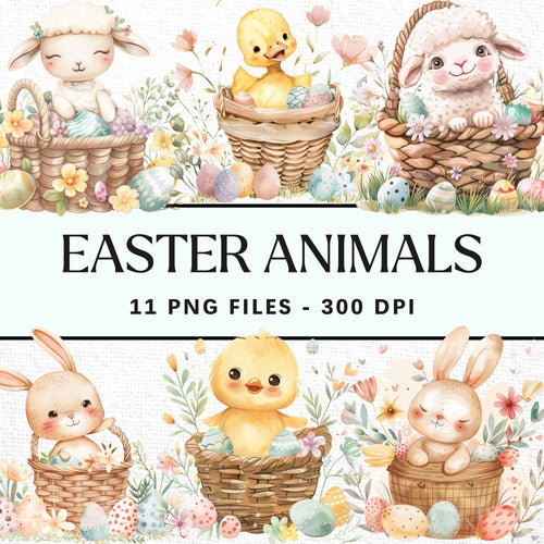 Easter Bunny Clip Art Clipart Pack