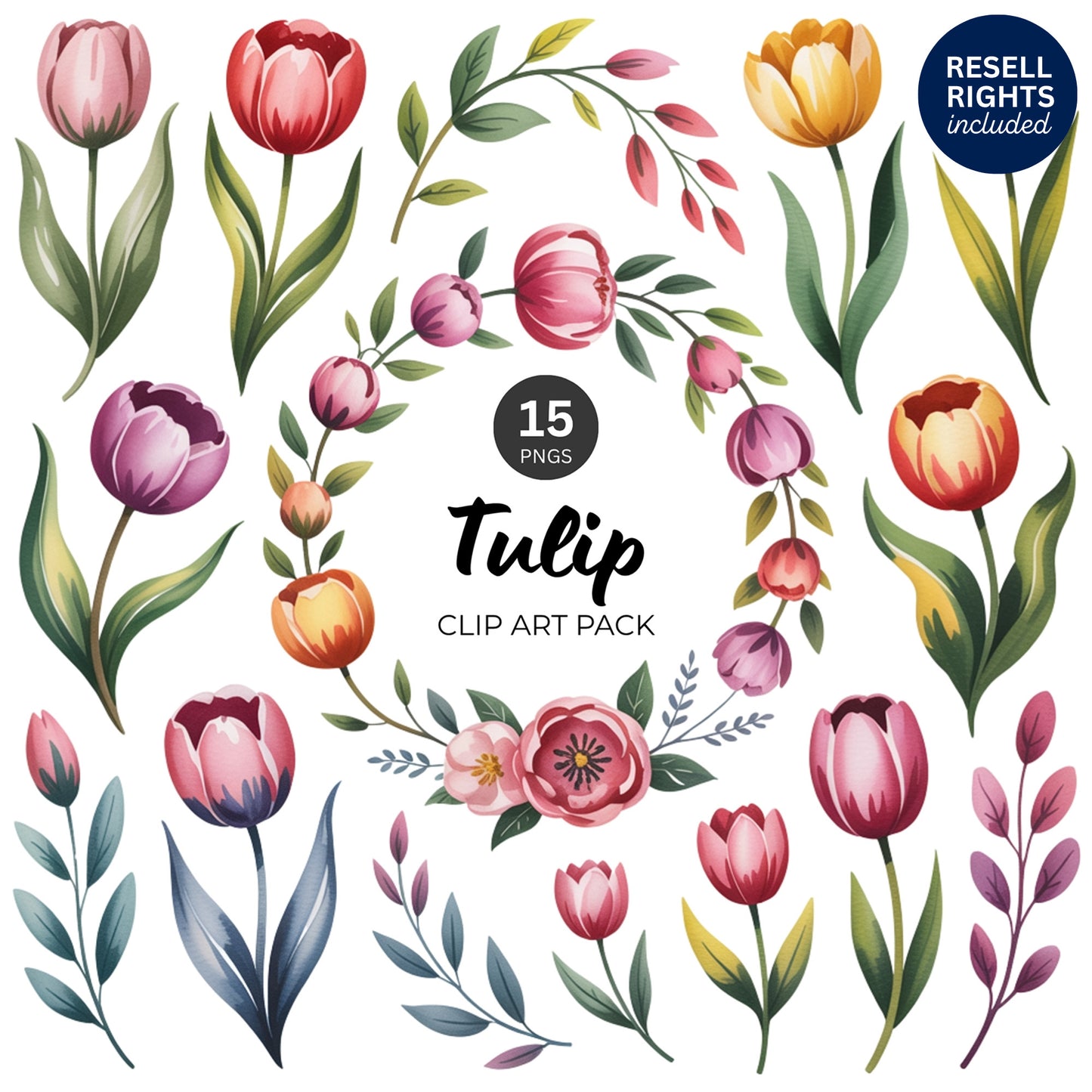 Tulip Clipart Pack | Resell Rights Included