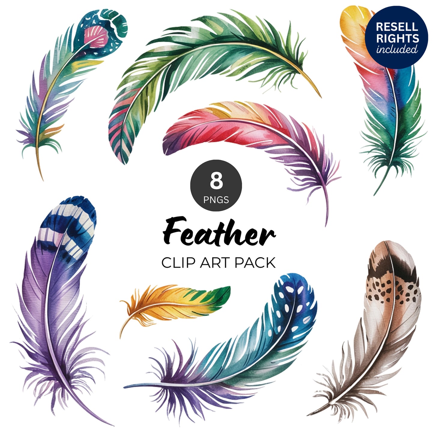 Feather Clipart Pack | Resell Rights Included
