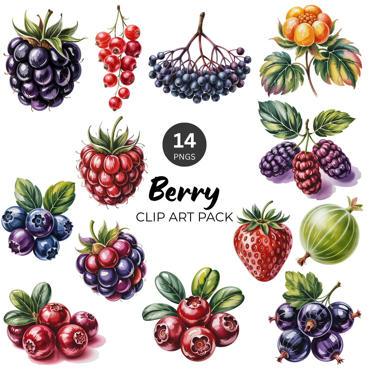 Berry Clipart Pack