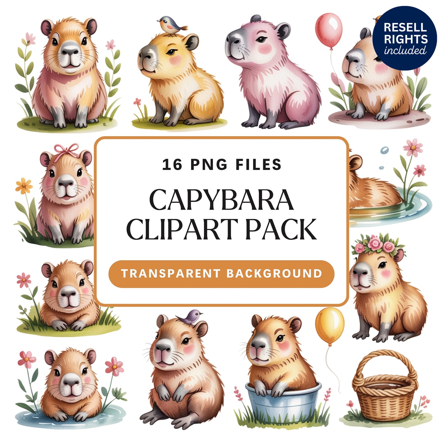 Capybara Clipart