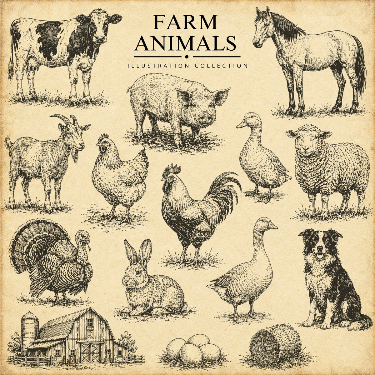 Farm Animals Illustration Collection