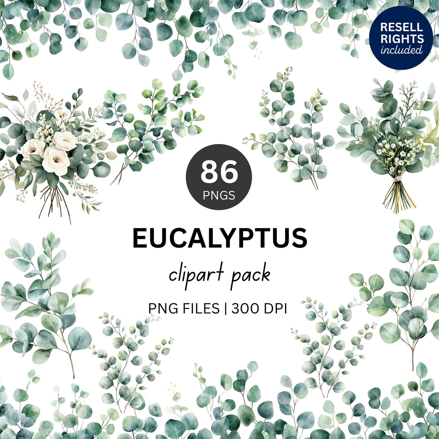 Eucalyptus Clipart Pack | Resell Rights Included