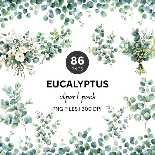 Eucalyptus Clipart Pack