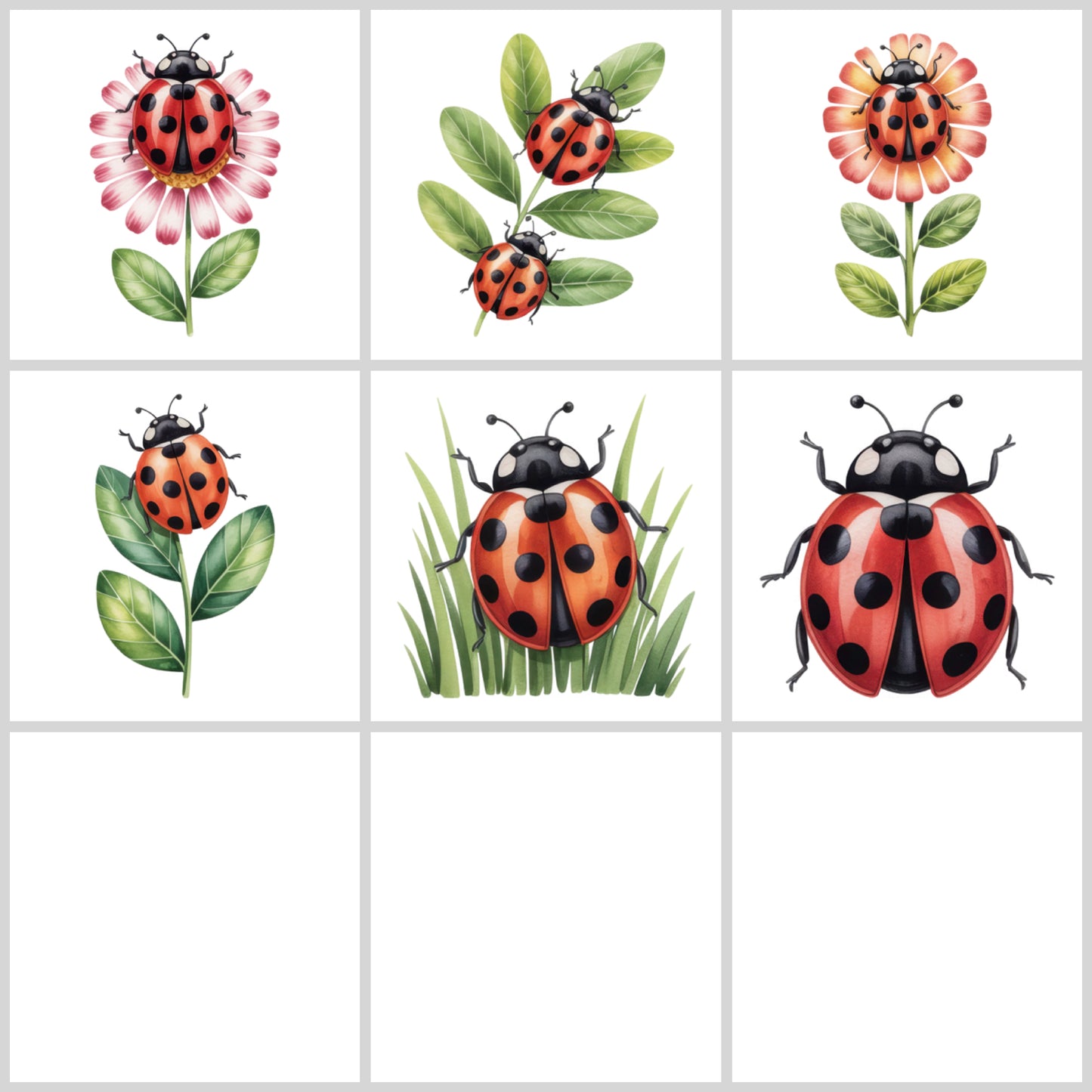 Ladybug Clipart Pack | Resell Rights Included
