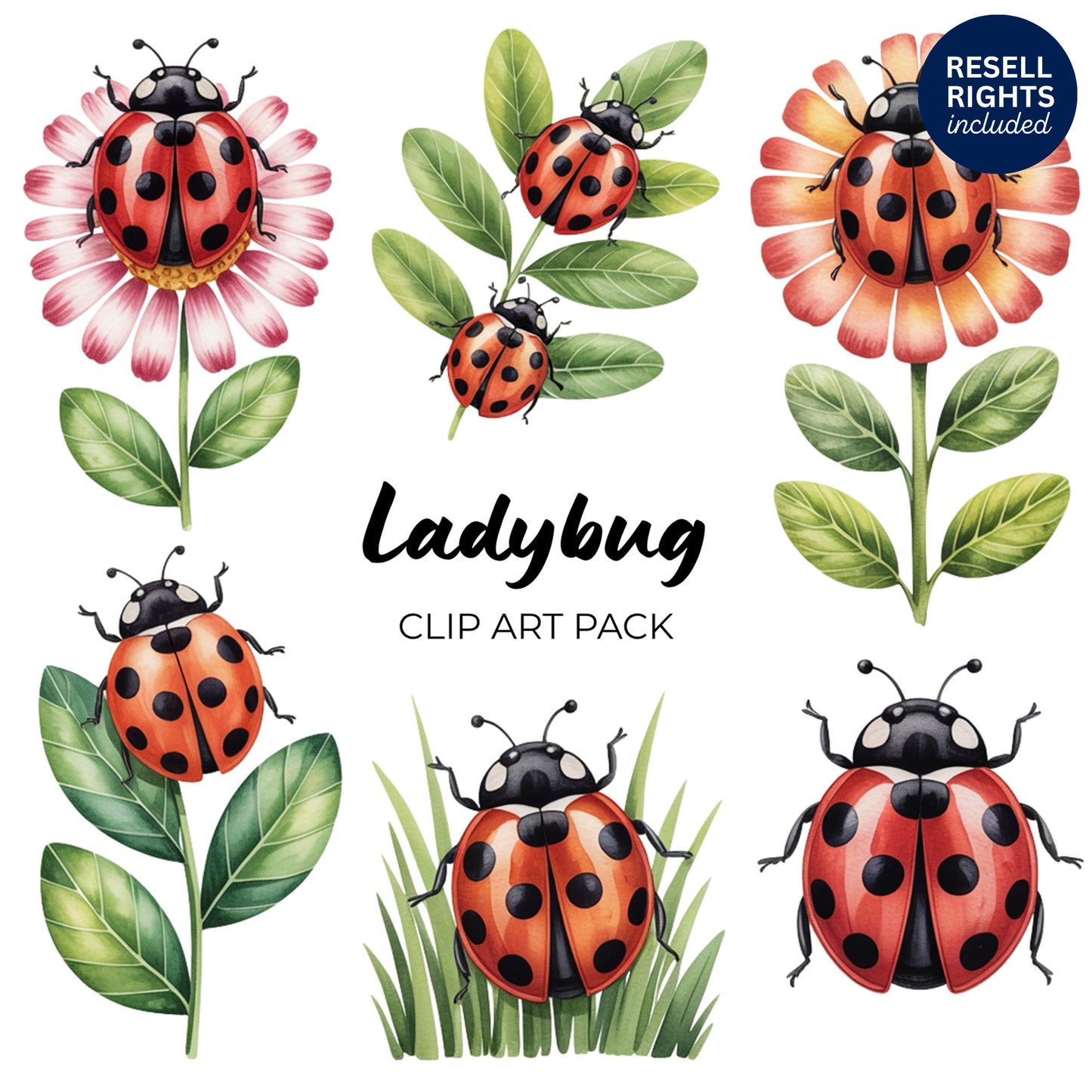 Ladybug Clipart Pack | Resell Rights Included