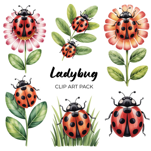 Ladybug Clipart Pack