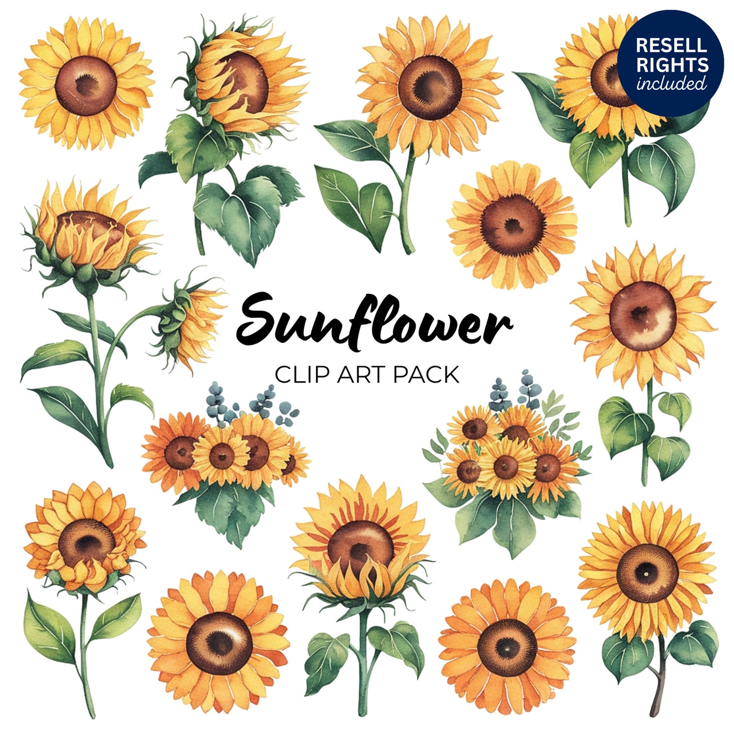 Sunflower Clipart Pack | Resell Rights Included