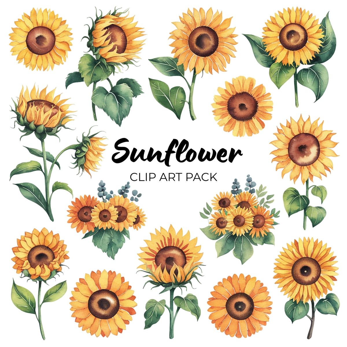 Sunflower Clipart Pack