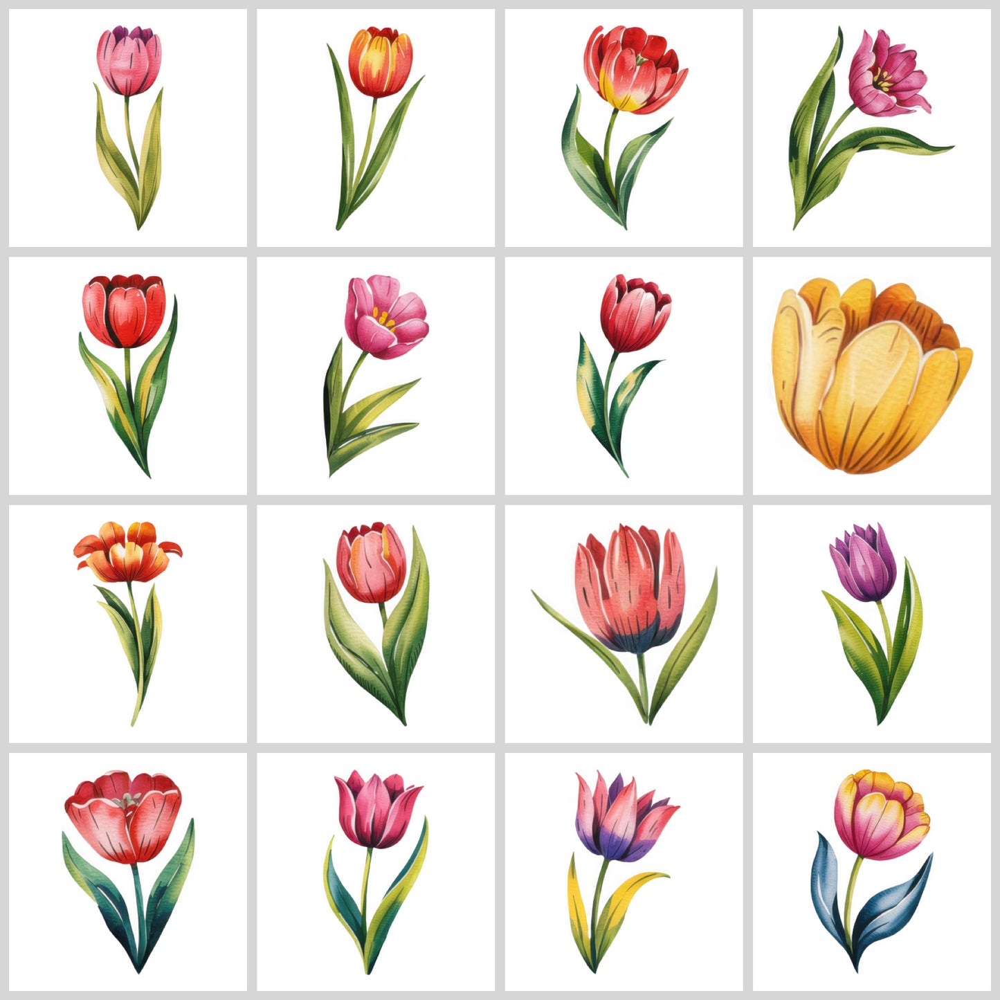 Tulip Clipart Pack | Resell Rights Included