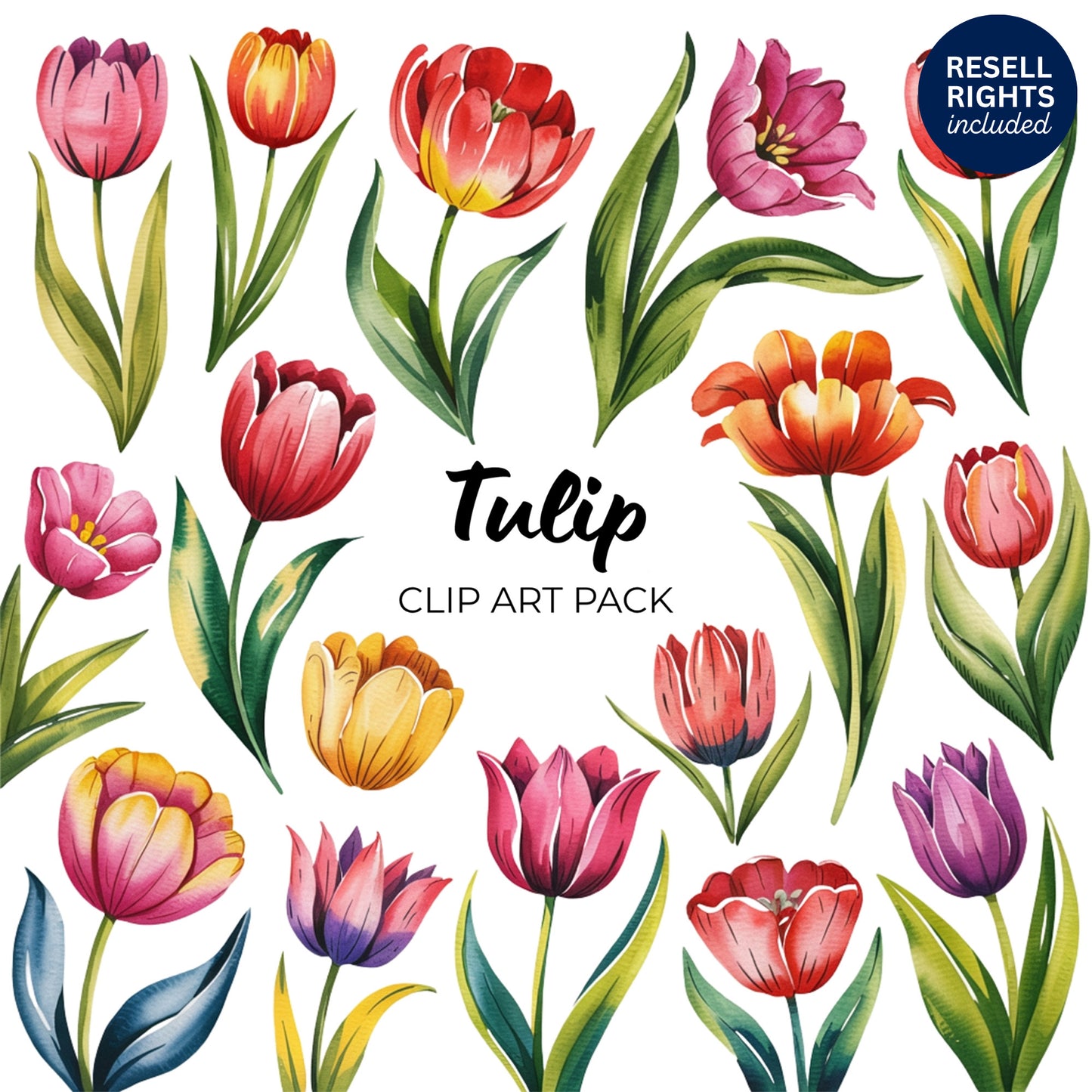 Tulip Clipart Pack | Resell Rights Included