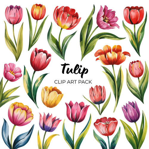 Tulip Clipart Pack
