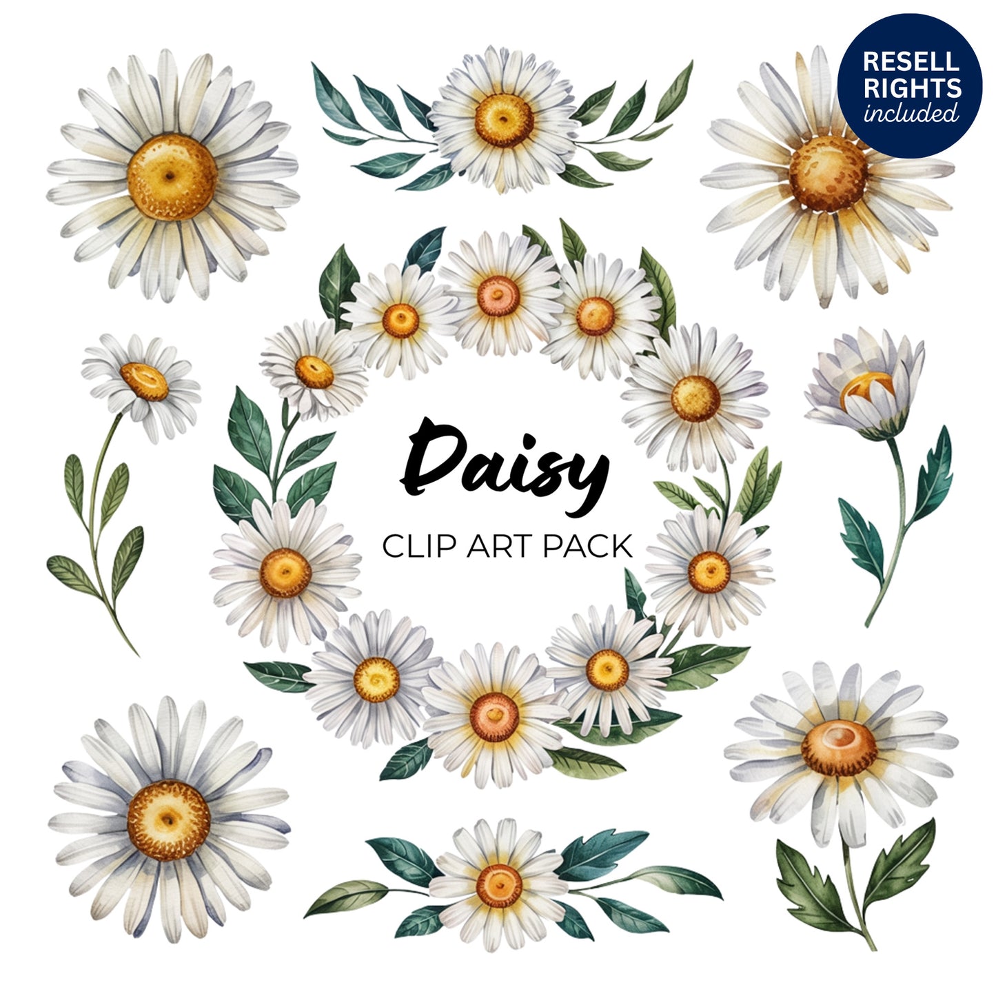 Daisy Clipart Pack | Resell Rights Included