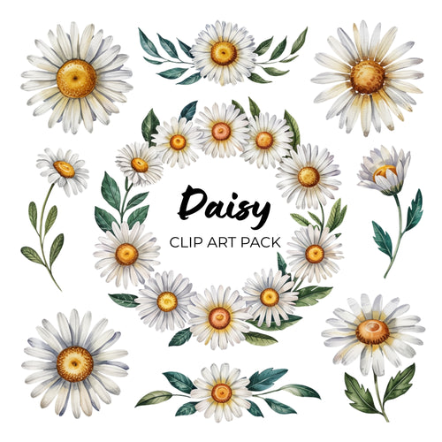 Daisy Clipart Pack