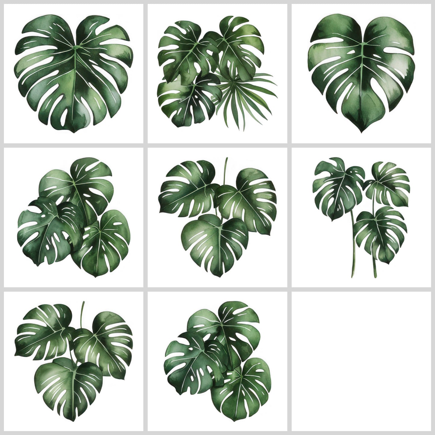 Monstera Clipart Pack | Resell Rights Included