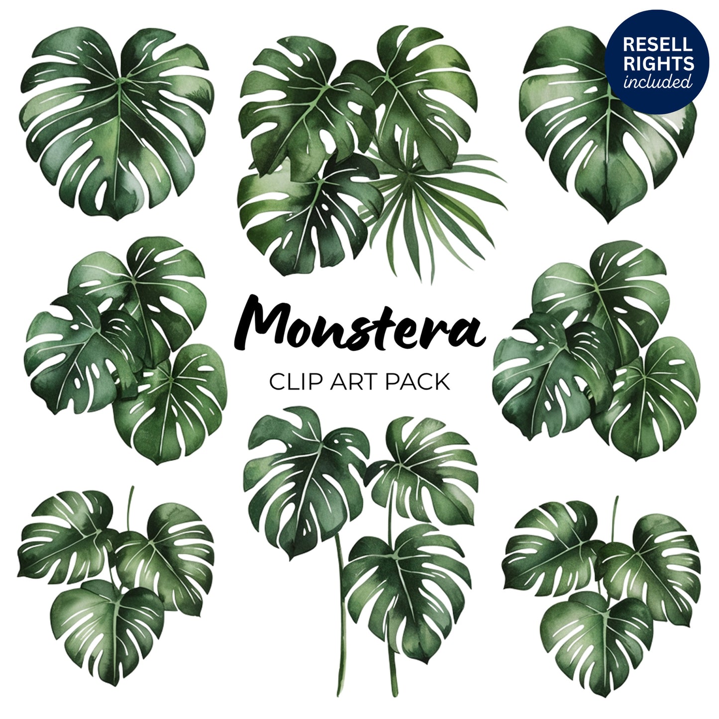 Monstera Clipart Pack | Resell Rights Included