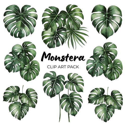 Monstera Clipart Pack