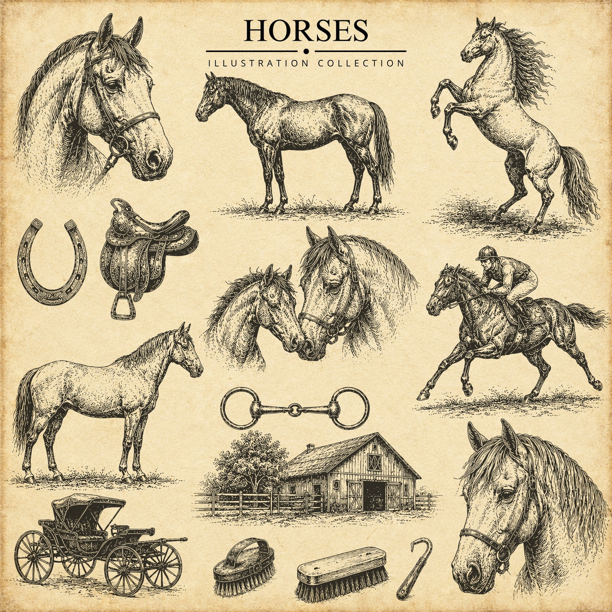 Horses Illustration Collection