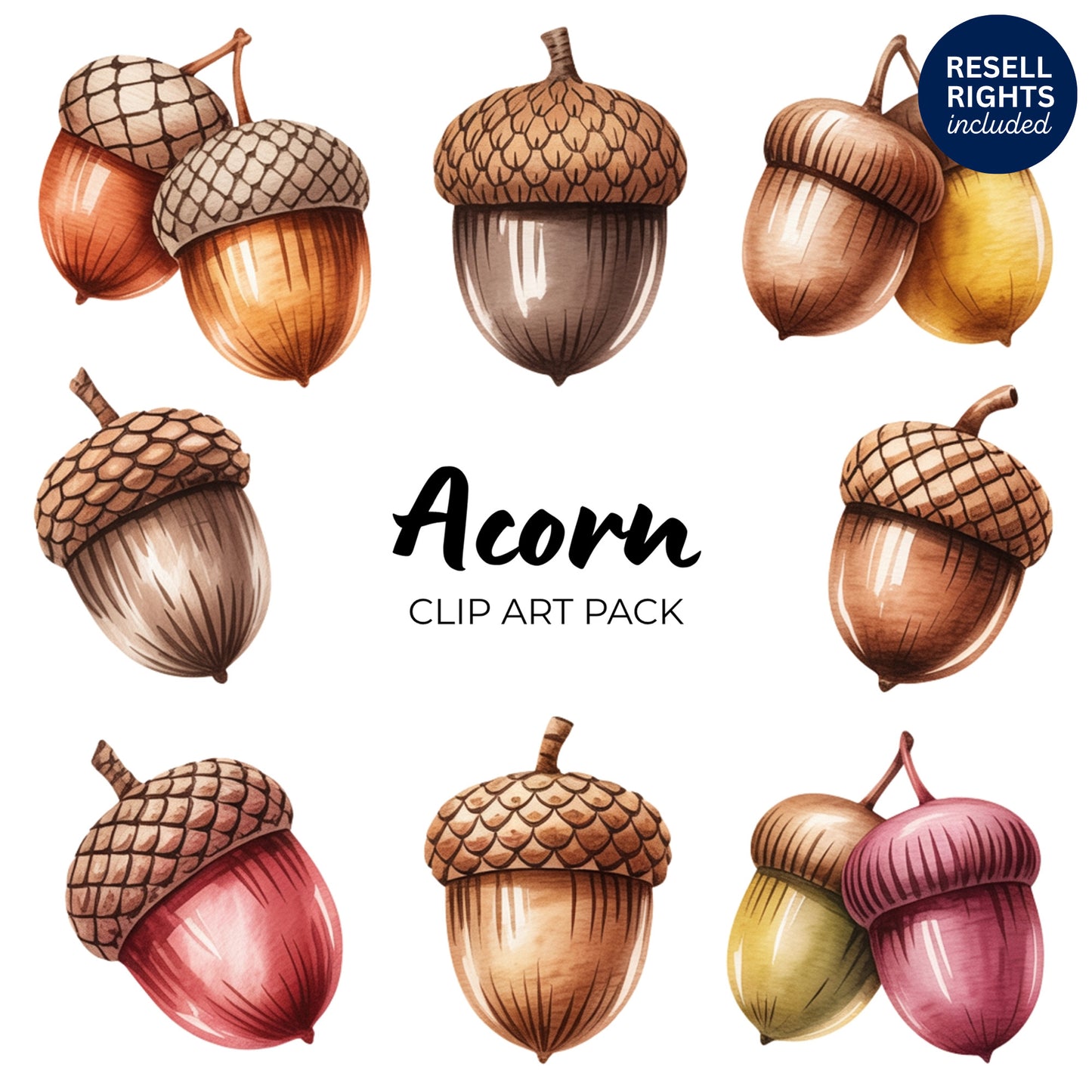 Acorn Clipart Pack | Resell Rights Included