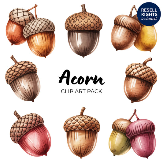 Acorn Clipart Pack | Resell Rights Included