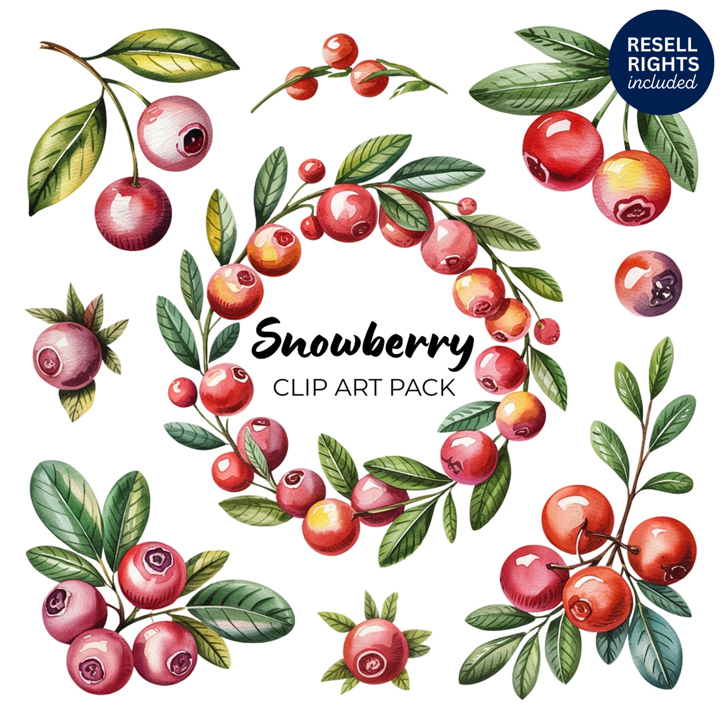 Snowberry Clipart Pack | Resell Rights Included
