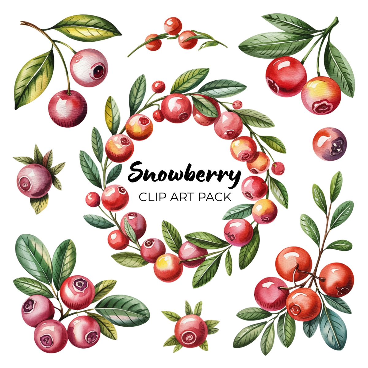 Snowberry Clipart Pack