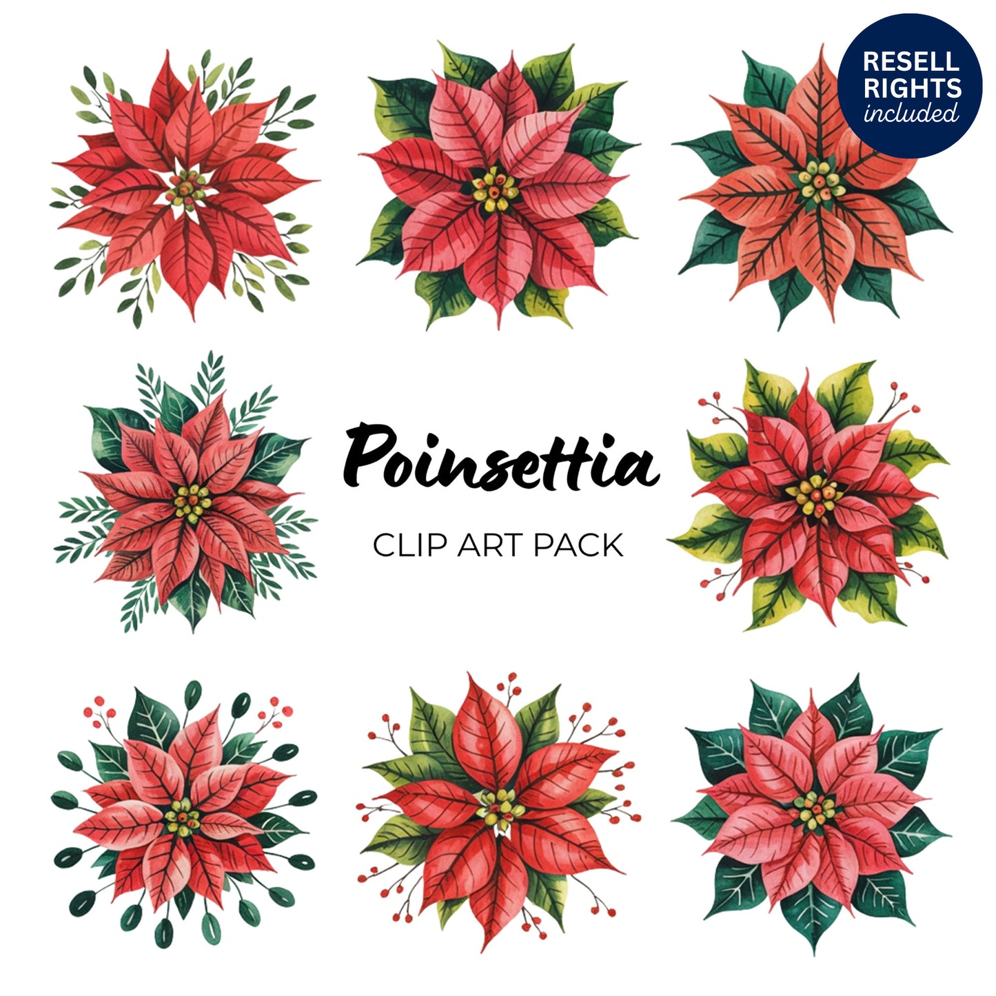 Poinsettia Clipart Pack | Resell Rights Included