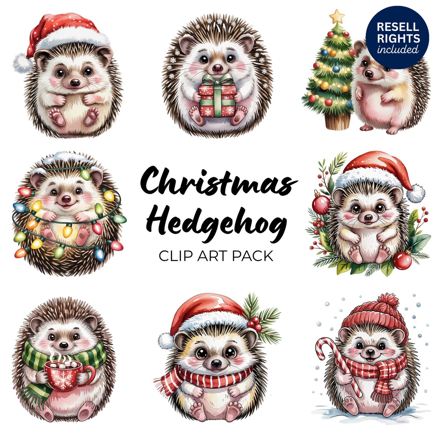 Christmas Hedgehog Clipart Pack | Resell Rights Included