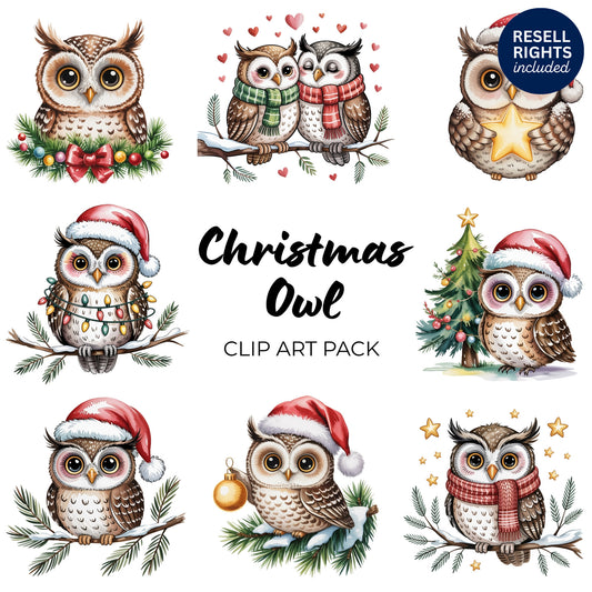 Christmas Owl Clipart Pack | Resell Rights Included